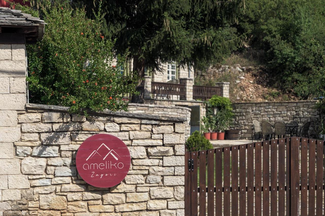 Ameliko Zagori Hotel Ano Pedina Luaran gambar